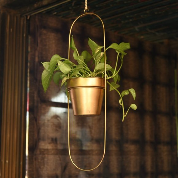 1bhkinteriors.com Other - "Capsule" Oval Shaped Hanging Metal Planter in Gold Finish